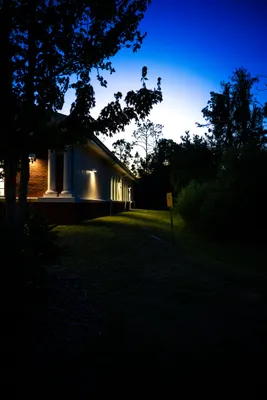 _NZF0619.jpg